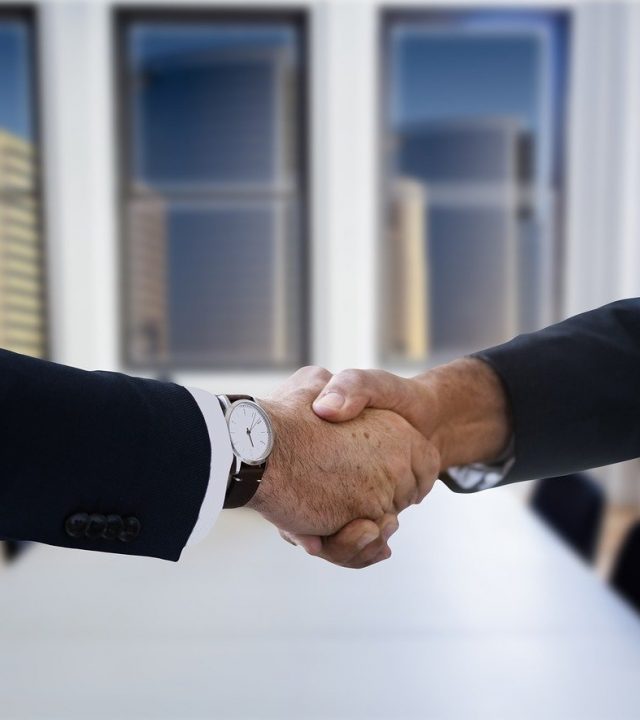 shaking hands, handshake, hands-3753457.jpg